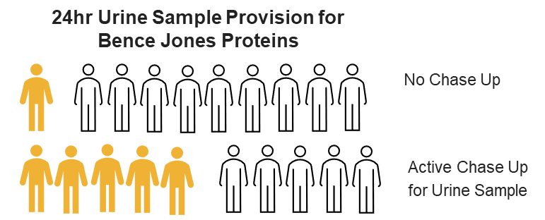 24hr Urine Sample Provision for Bence Jones Proteins