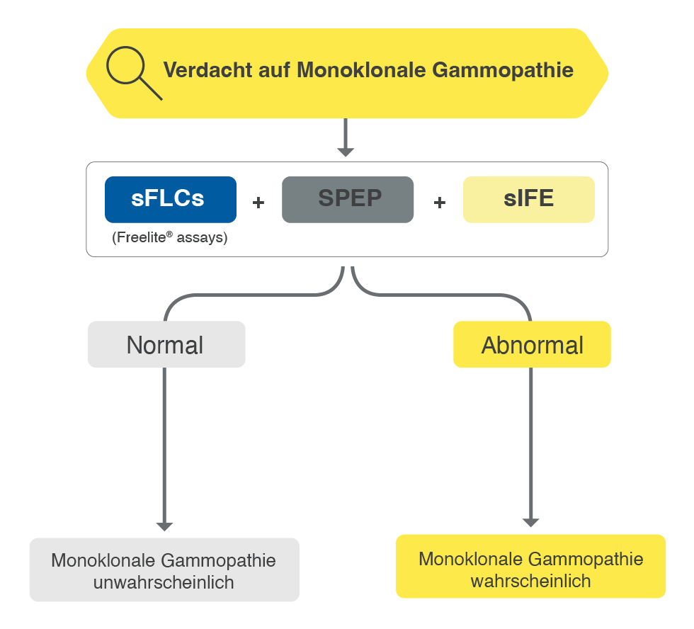 LR Partner sFLC [DACH]-10